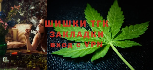 крисы Карпинск