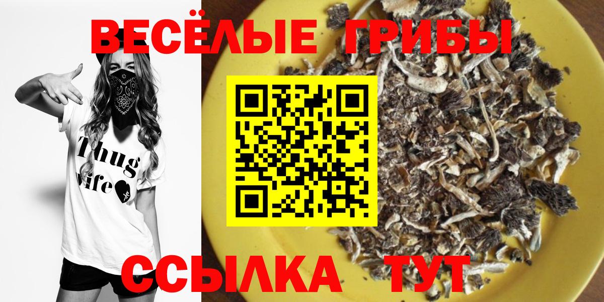 Кимовск  Галлюциногенные грибы Cubensis  Галлюциногенные грибы ЛСД  Вход с VPN 